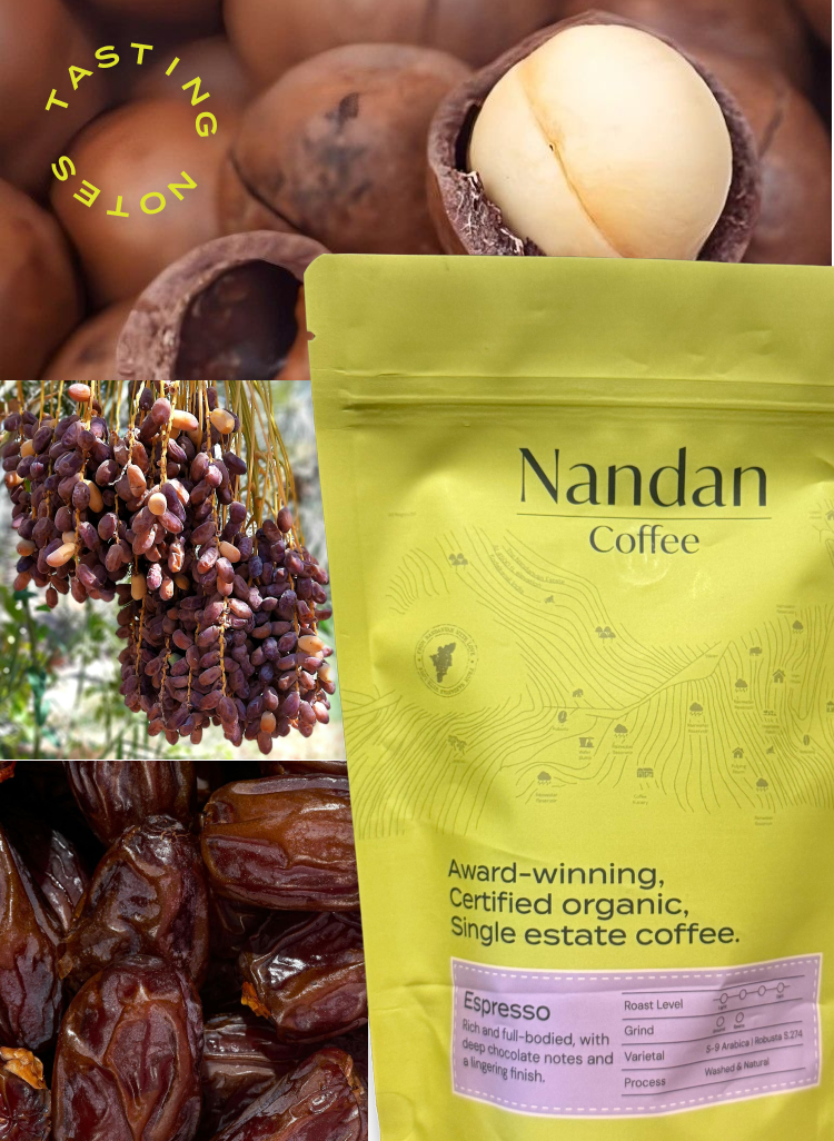 Espresso Medium Roast