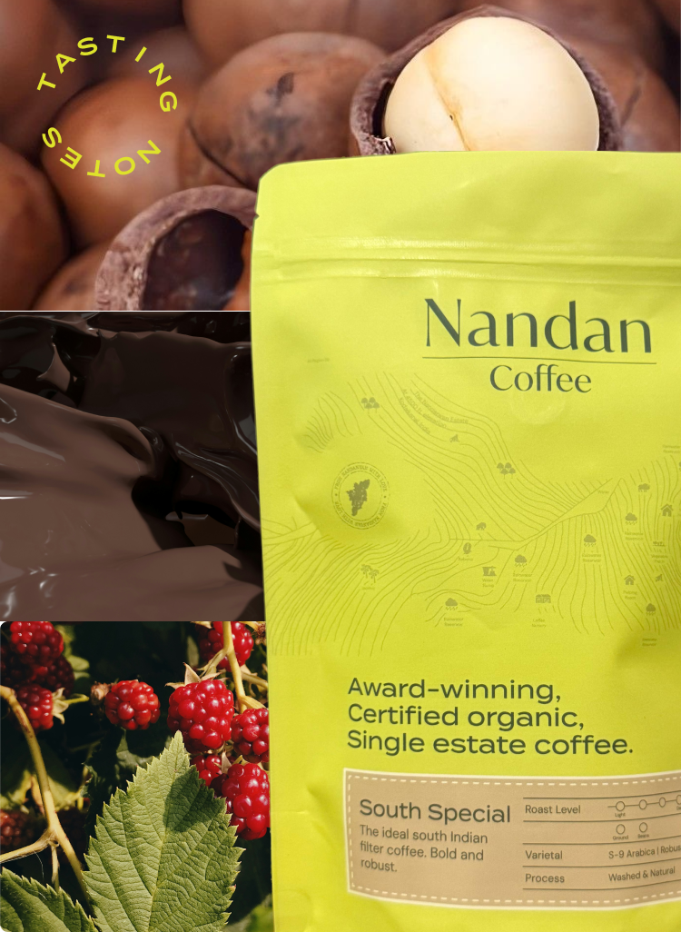 South Special Medium-Dark Roast